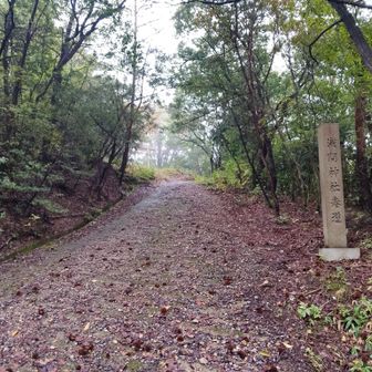 今月10日痔瘻(ぢろう)の手術をし、産まれたての仔羊みたいになってしまった自分
ようやく歩ける状態になってきたのでリハビリ兼ねて近くの山の林道をを歩く事に
山に登れるって本当に健康健全な証拠だとしみじみ感じながらスタート
ちなみにしばらく転がっていたら下半身が弱ってきて体重が減ってしまった