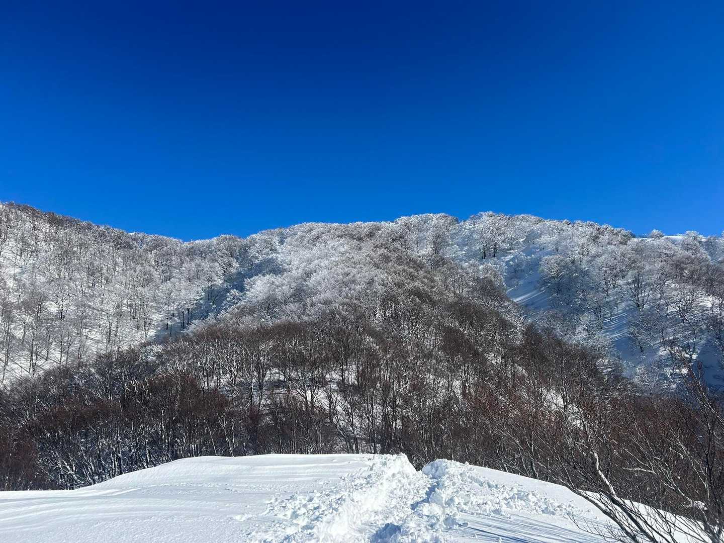 富士写ヶ岳を振り返って