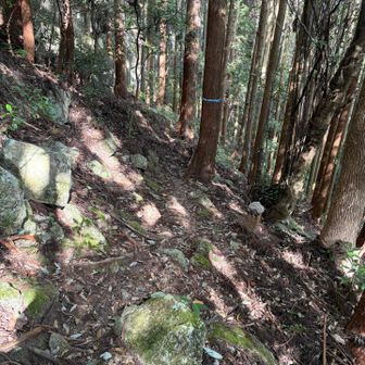 前回引き返した場所。
この辺りだったと思う。
今思えば引き返して正解だった。
雨の中の雌岳はヤバい。