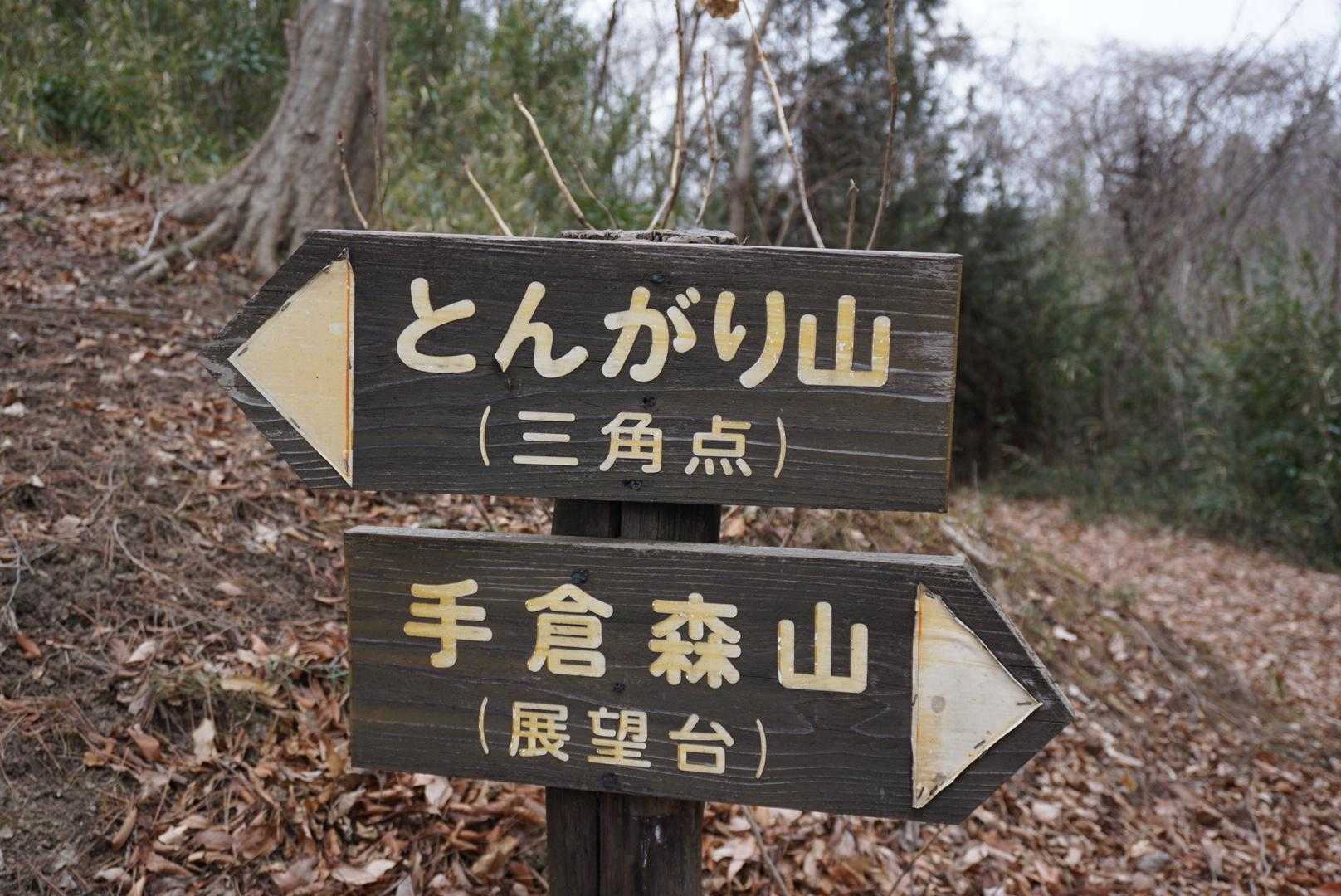 とんがり山へ
ここまでの道のり、軽トラ🛻が通れるほどの
広さ