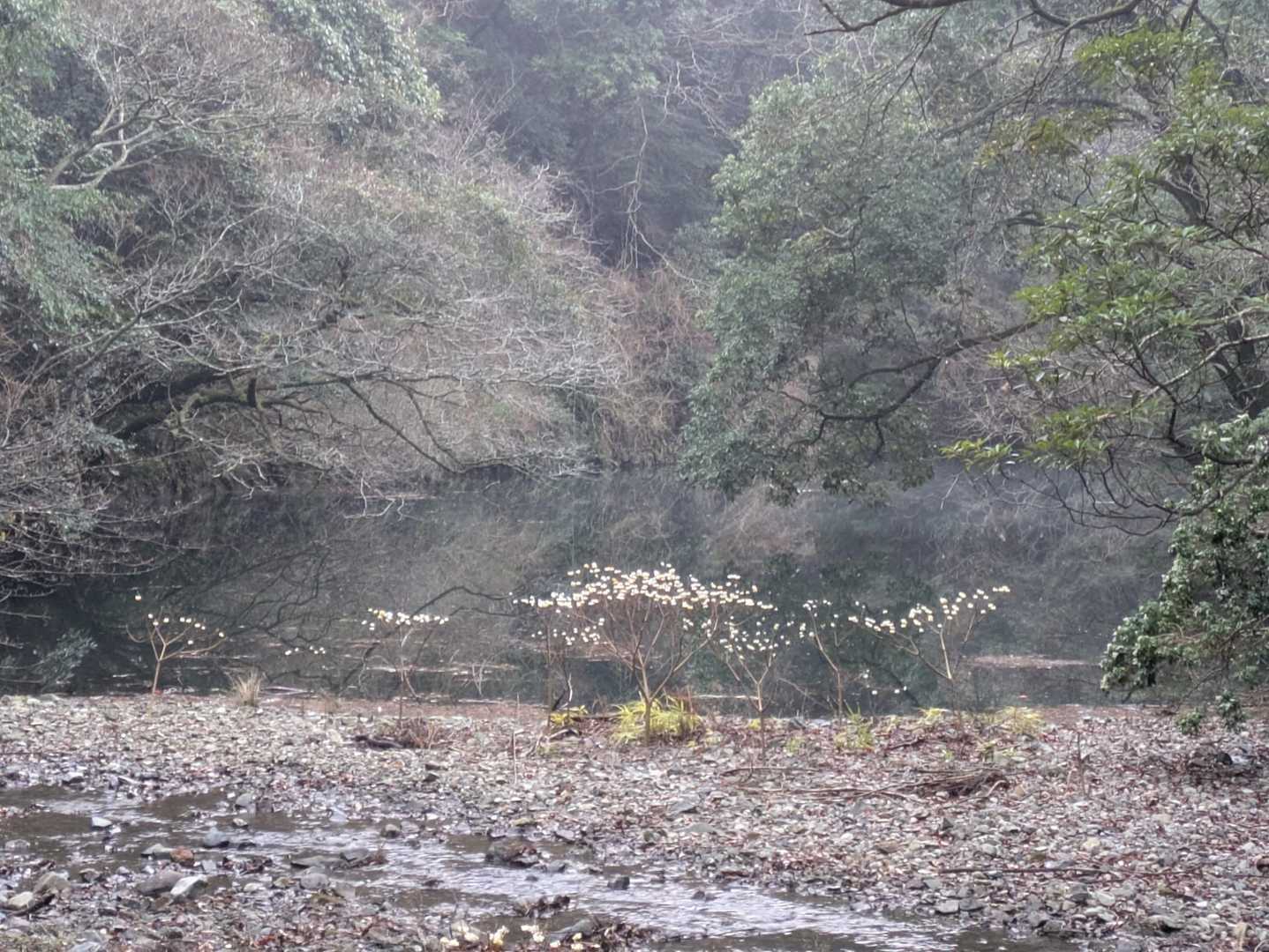 見えた