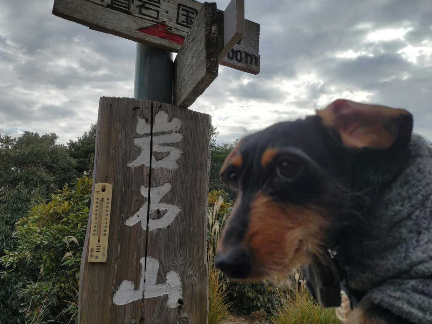 岩石山 往復 | 奇岩・巨岩とドウダンツツジのトンネルが生み出す絶景を満喫の写真
