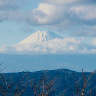 富士山も見れたよ！