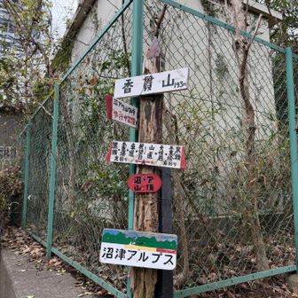 最後のお山に到着！