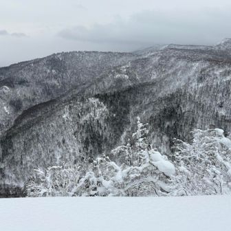 白黒写真みたいですが、薄日も少々ありまして
風もなく