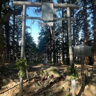 お社ありました。