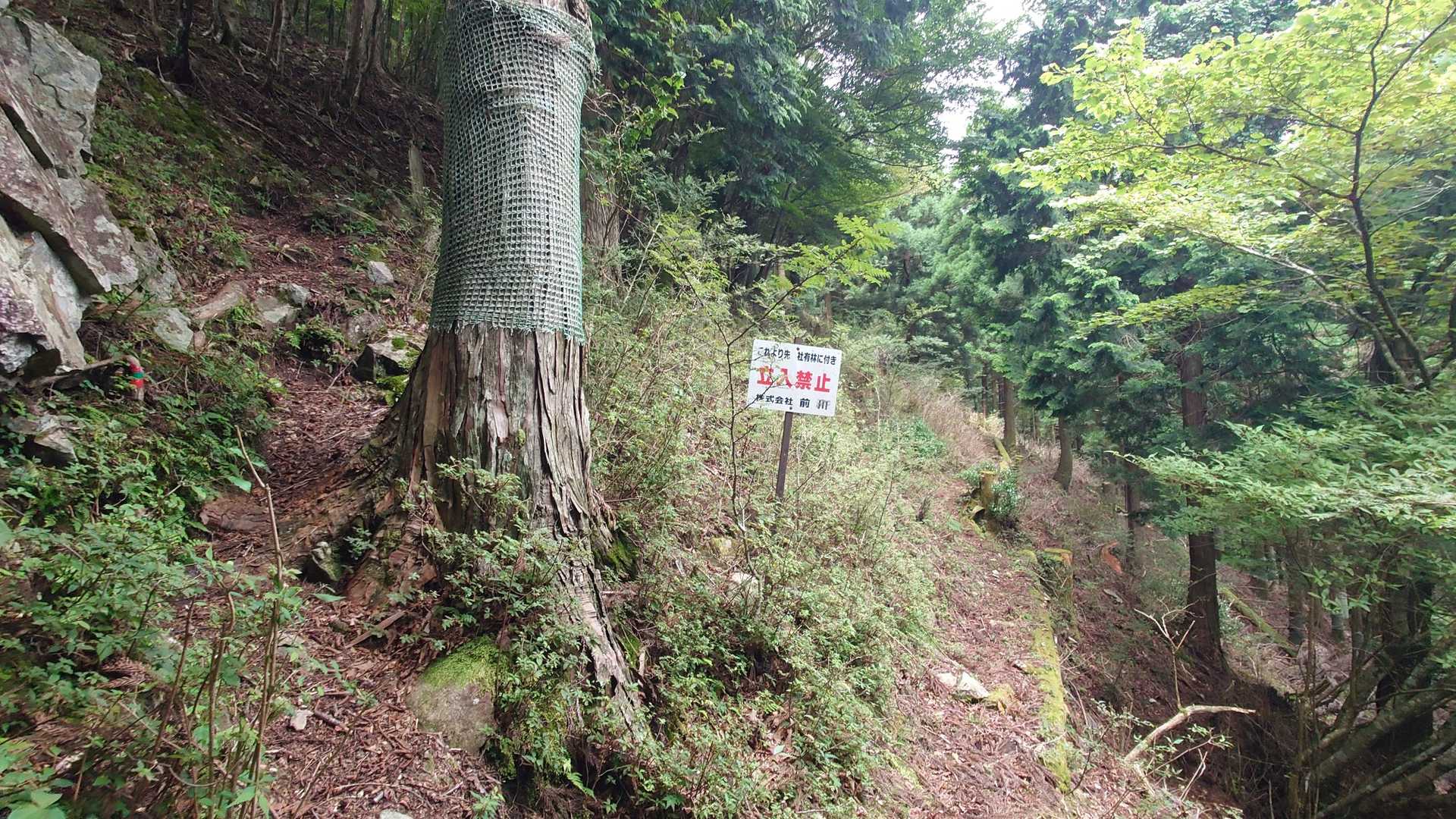 ㈱前川さん、お名前、よく見かけますね。