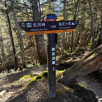 序盤九十九折からのながーーい左斜行をしてやっと二号目