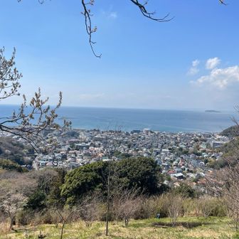 いい景色、鶯も鳴いて山友さんとお話して。男の子3人もかけっこしたり、ほっこりした時間を過ごせました☺️