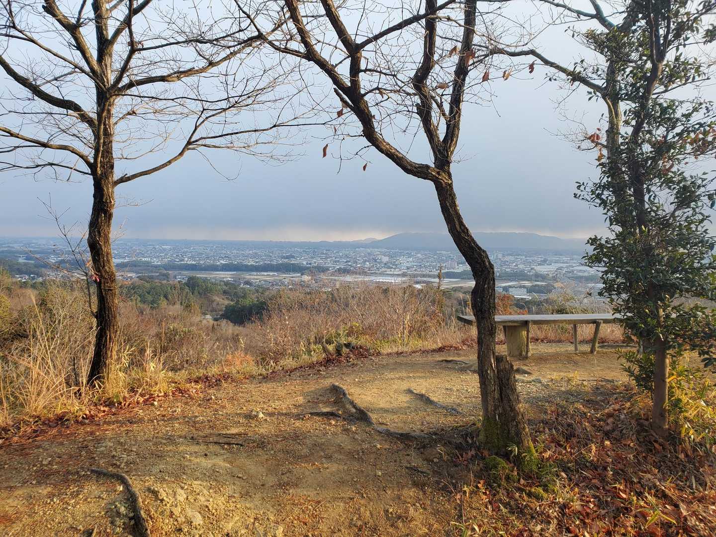 平山①。