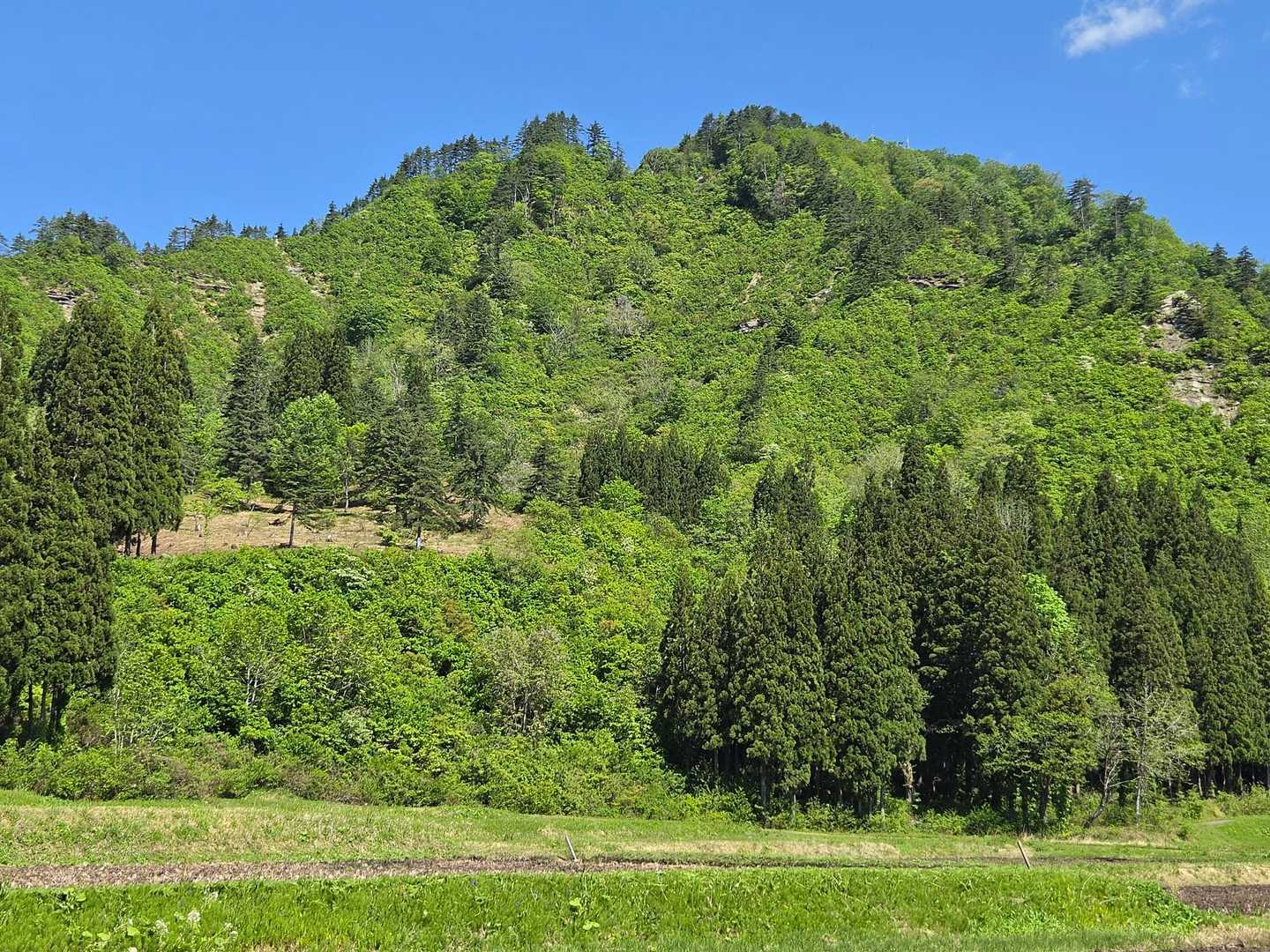 要害山楽しかったです