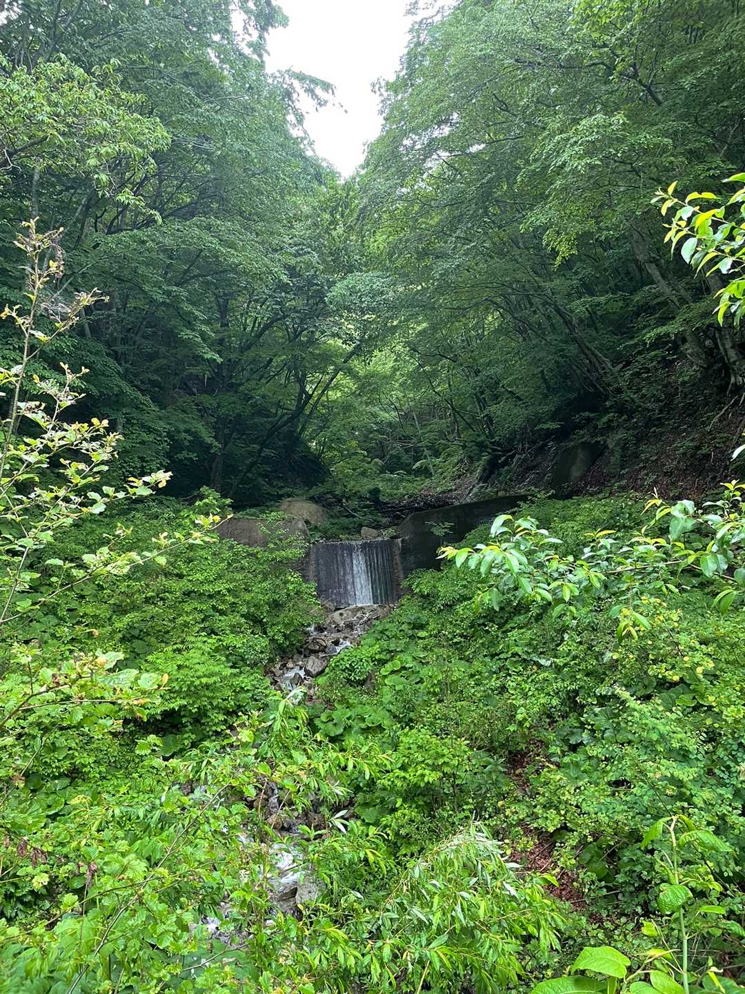 赤林山矢巾温泉登山口-南昌山 往復コースの写真