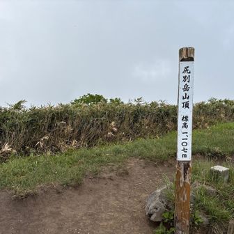 山頂から見る羊蹄山
楽しみしてたけど　雲に隠れて見れなかった　残念！