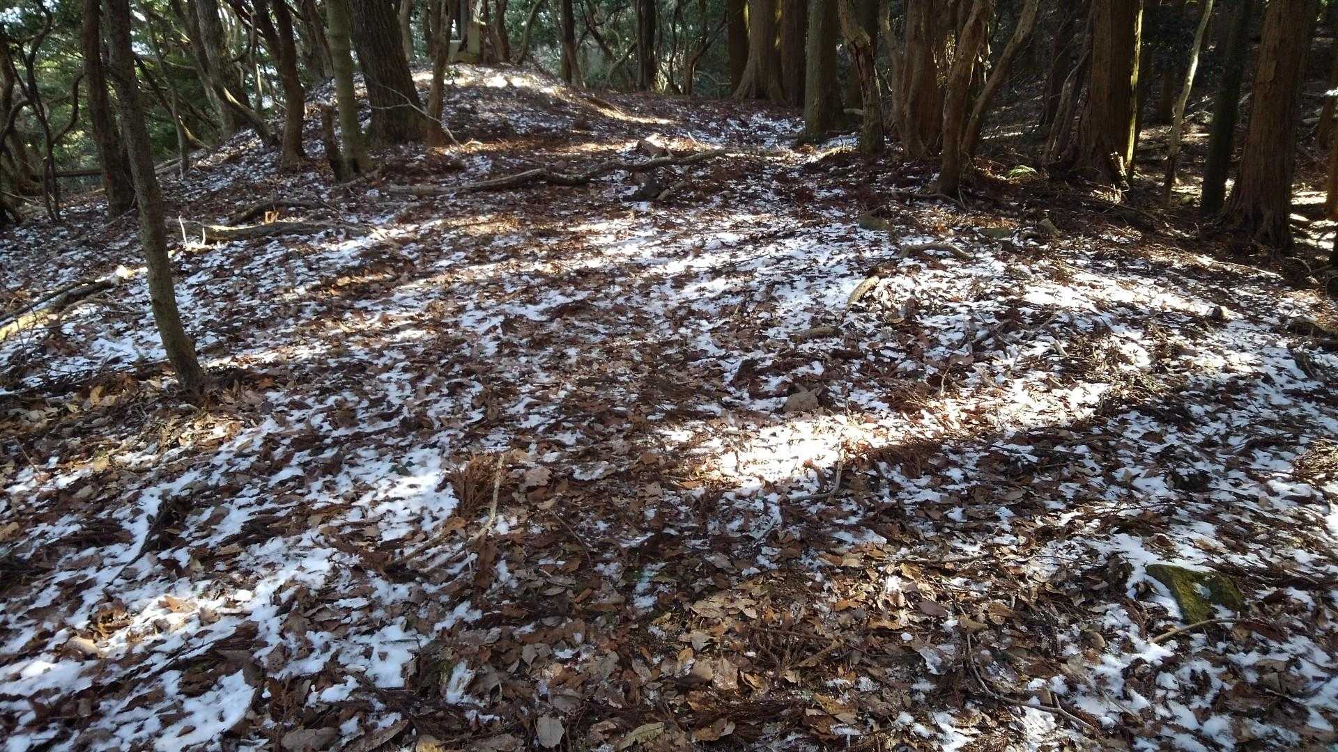 山頂付近は、少し雪が
そしてここに来るまでも激登り！