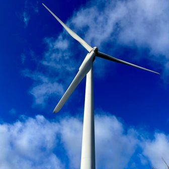 予想以上に大きくてびっくり‼️
