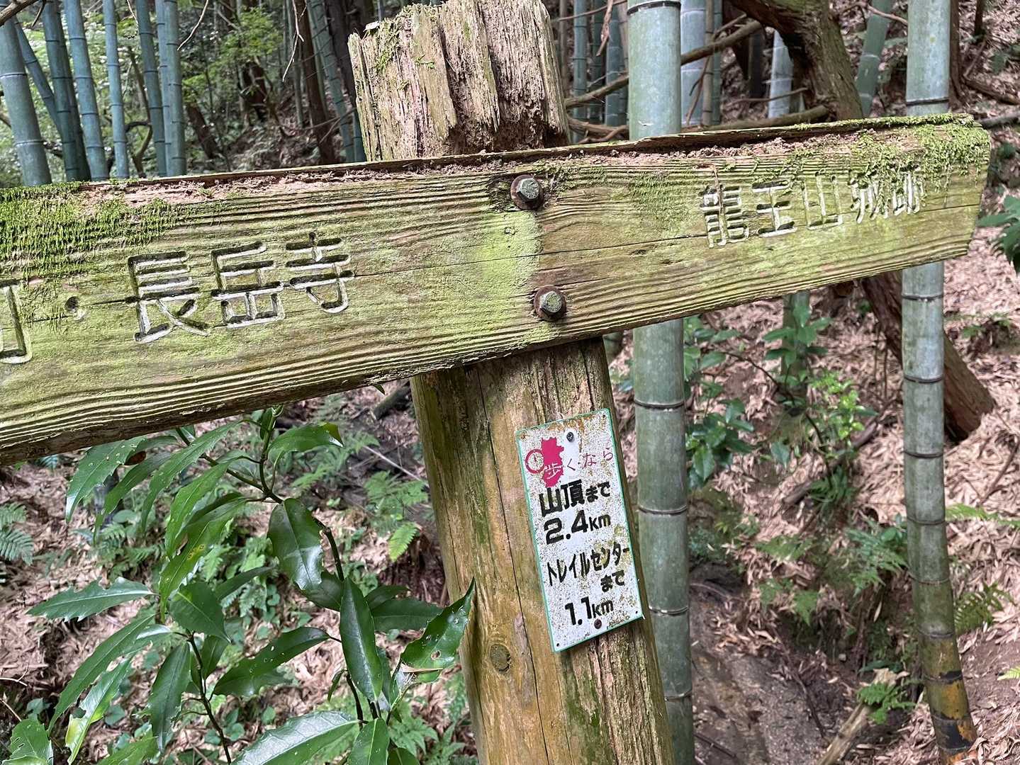 龍王山 往復コースの写真