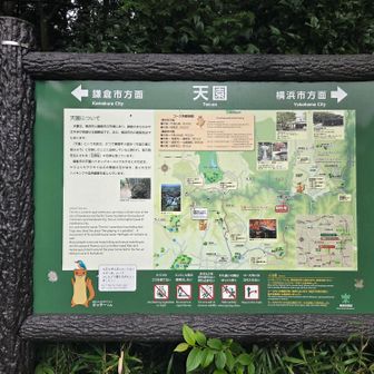 天園案内