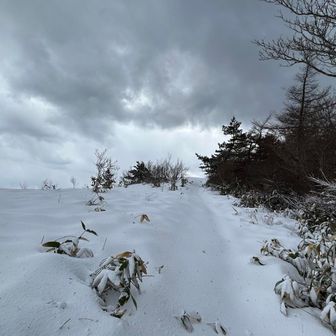 ここ上がったら