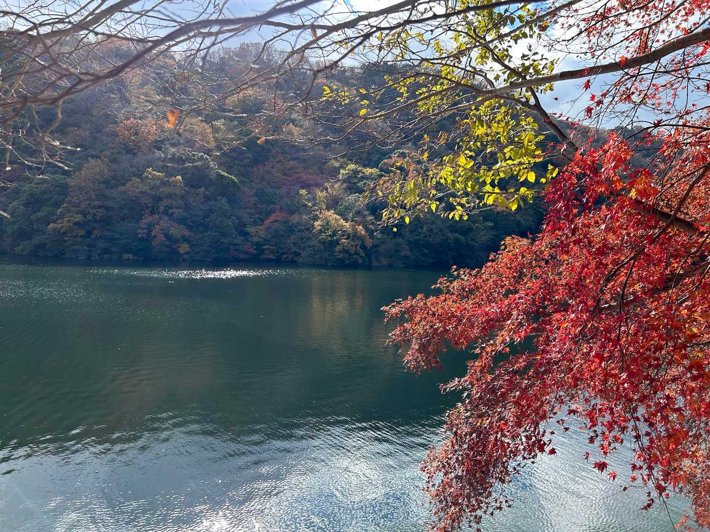 新神戸駅-滝山城跡登山口 縦走コースの写真