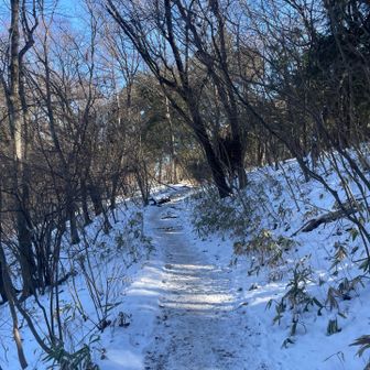 結構カチカチポイントありました