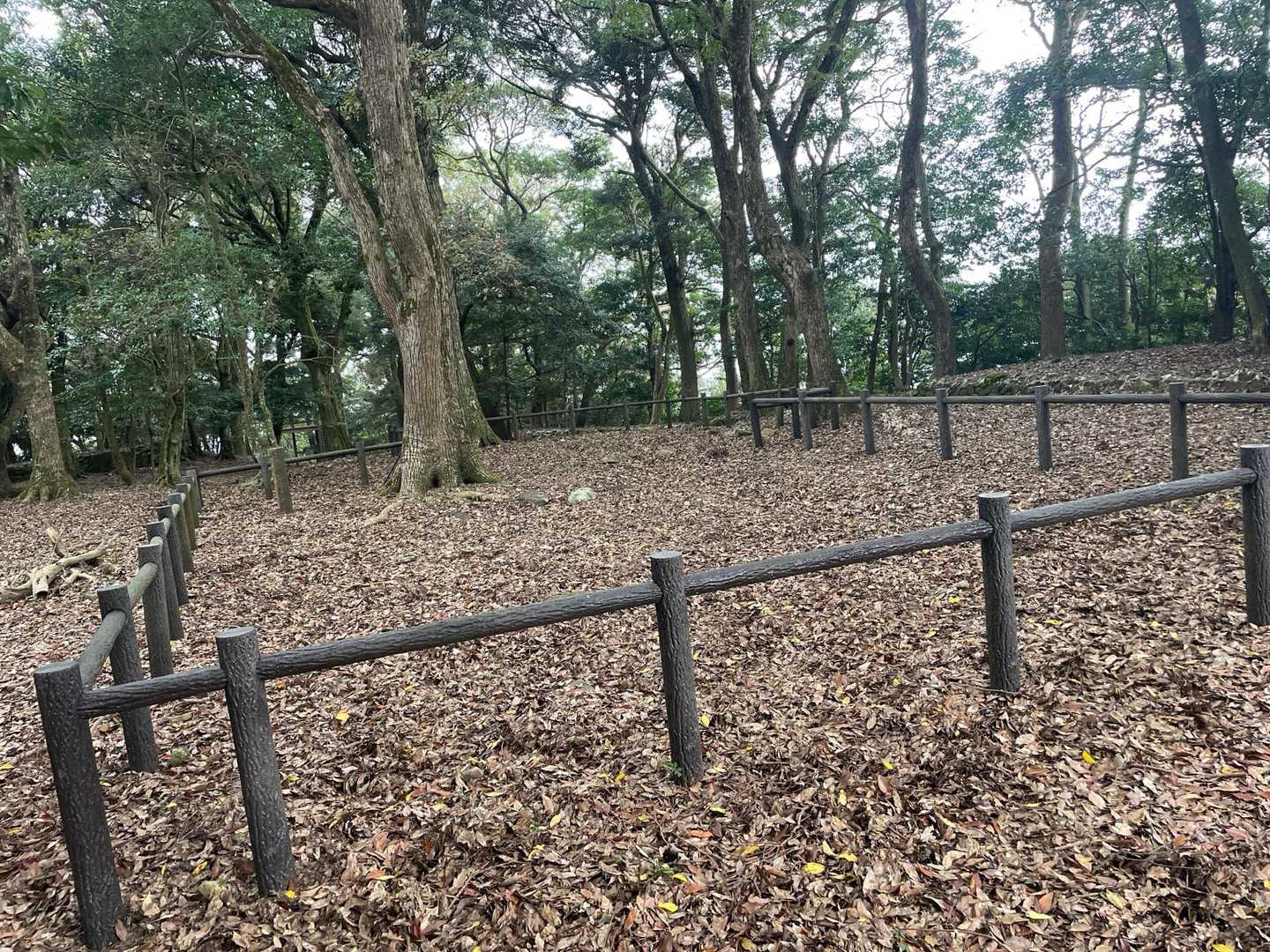 建物跡礎石群とか旗を立ててた石とか