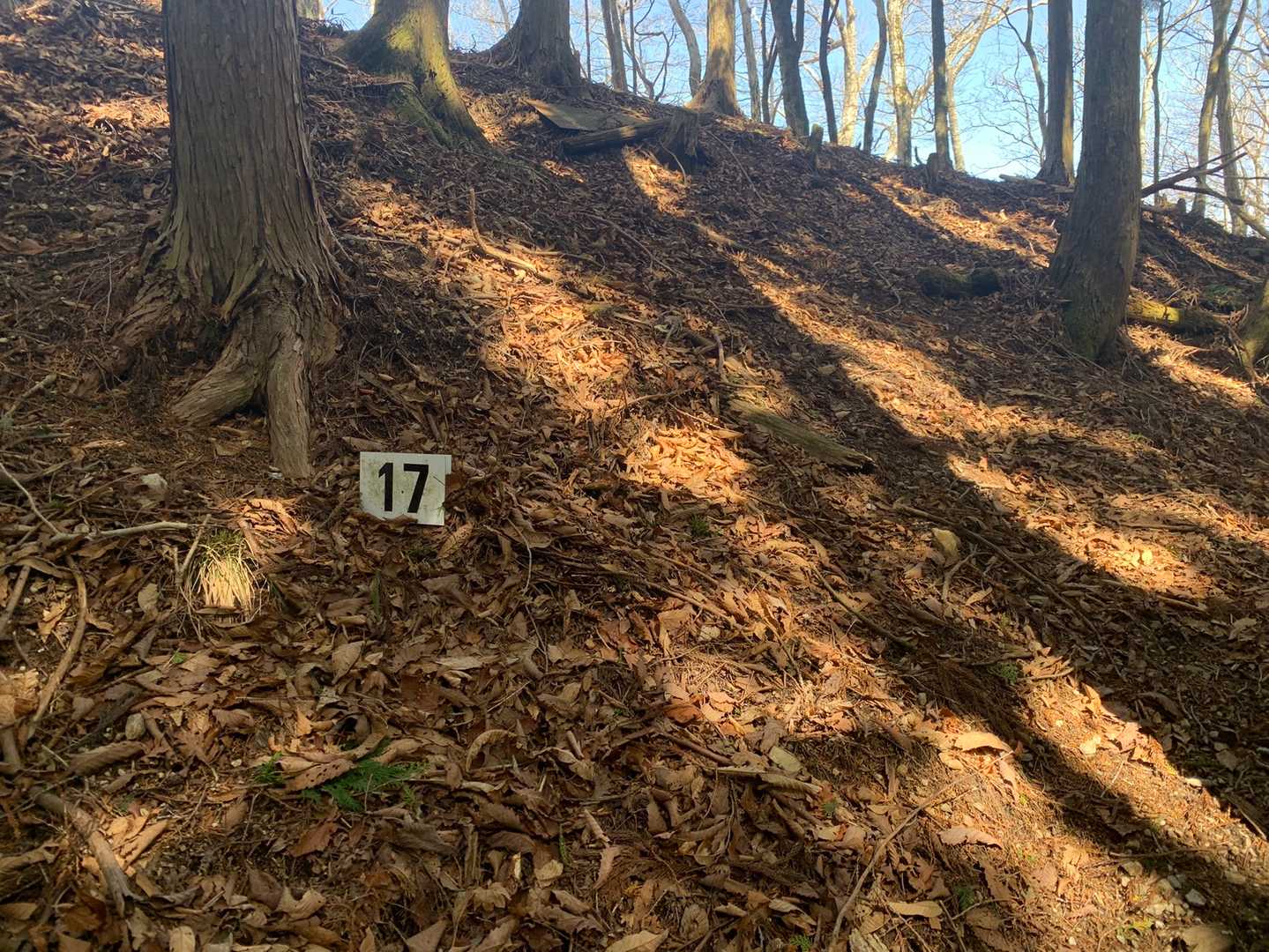 山頂近くの17番