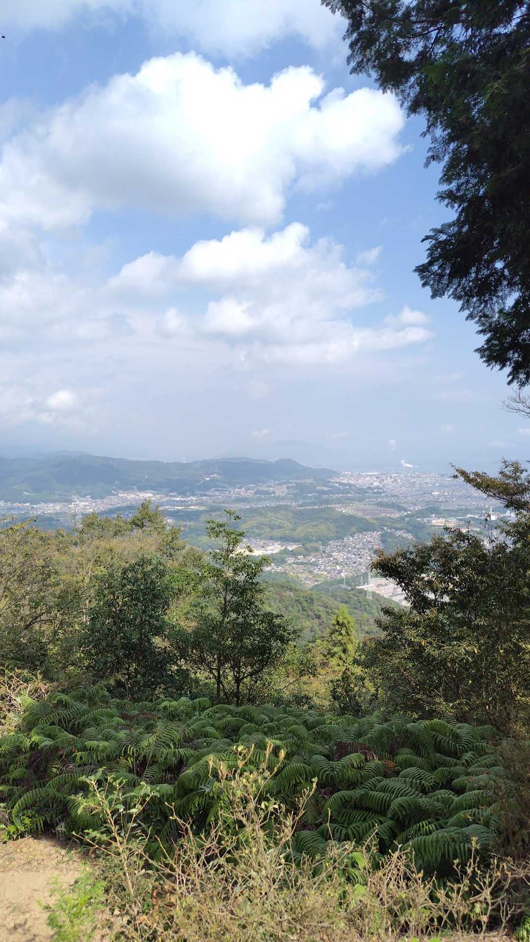 山頂から撮る。