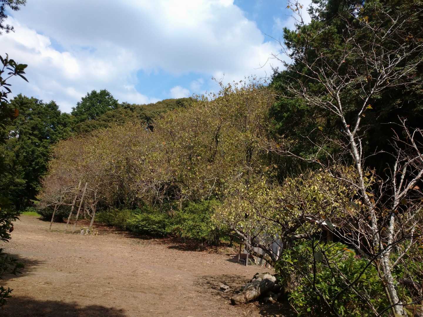ここは初御代桜の時期に解放されてるそうです😃   来年の春に訪れたい所です。