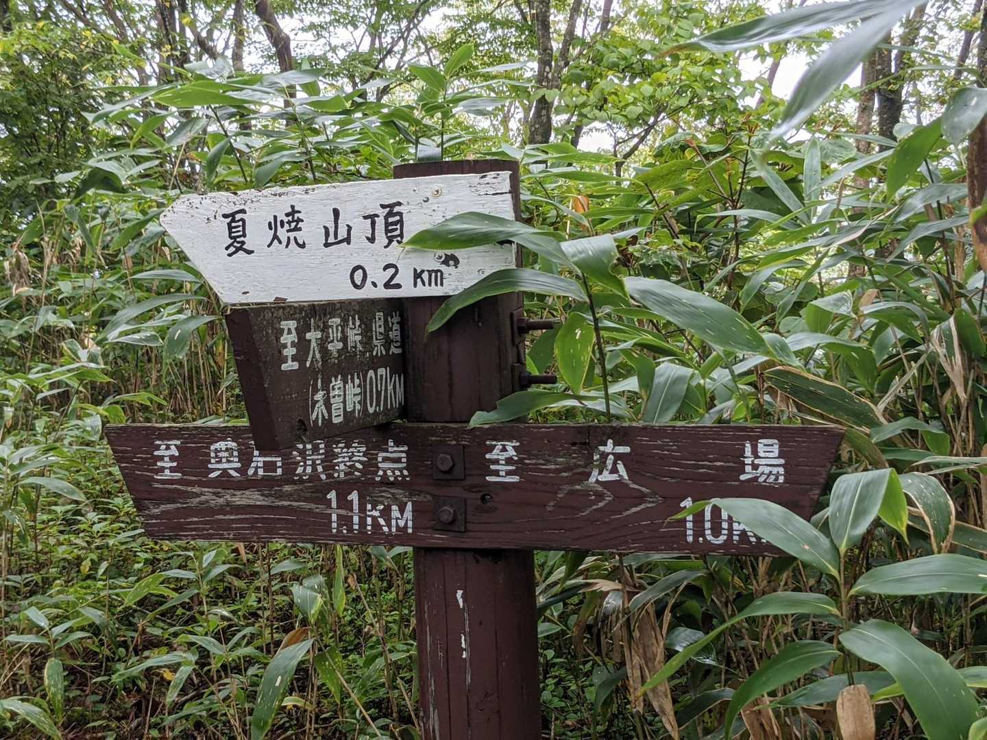 あと山頂まで200メートル🏃