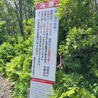お疲れ山でした✨️
