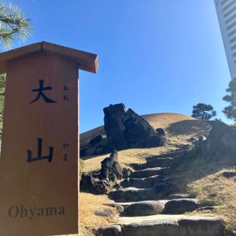 神奈川の大山じゃありません🤪