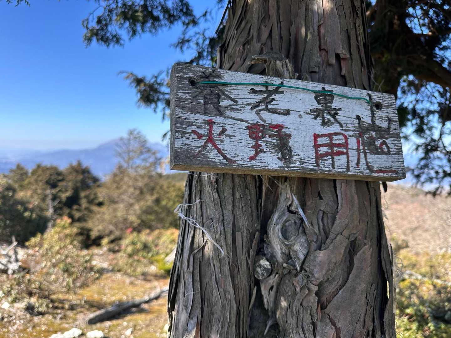 裏山⛰️