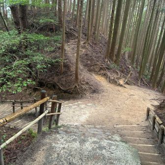 以前、この右の道から来ました