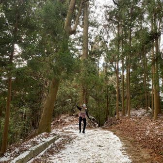 おかしくなってきた😂