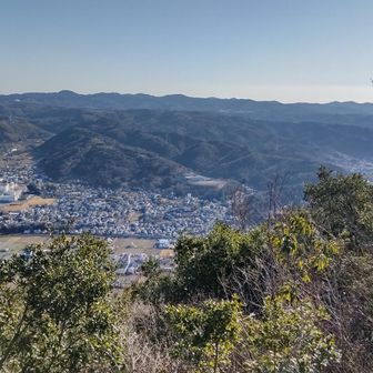 城山山頂からの大仁の街並み