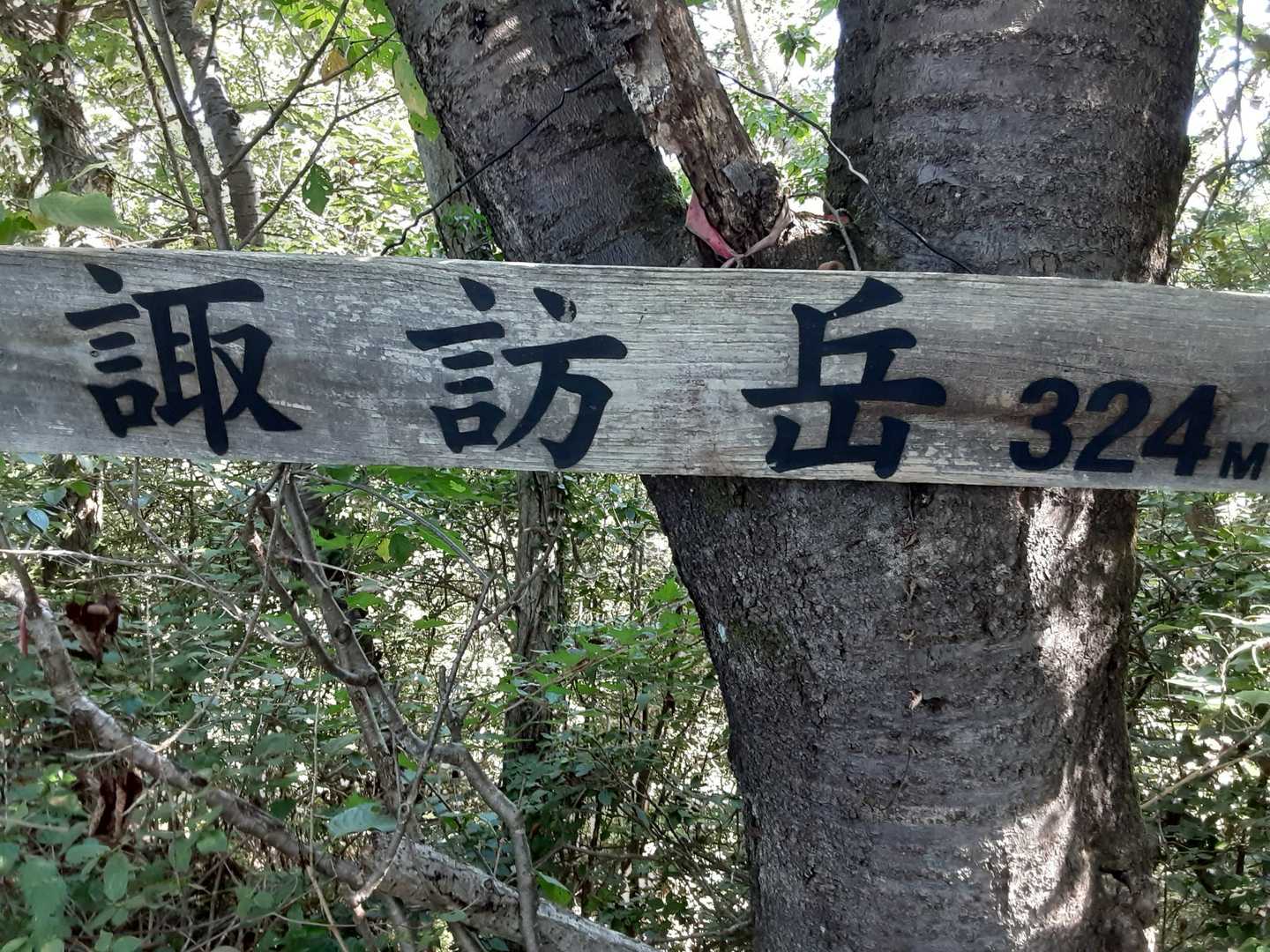 京路戸峠-諏訪岳 往復コースの写真
