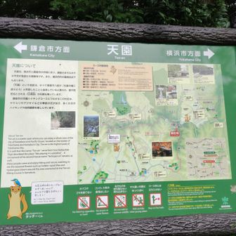 ココはまだ栄区なのか。タッチーくんがご案内。