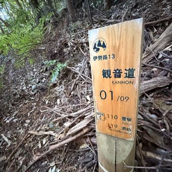 観音道は、9分割