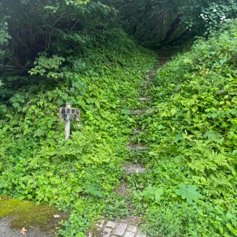 途中ゼロ海抜からソロでくる方数人！
塩を甲府まで運ぶ方々も😳