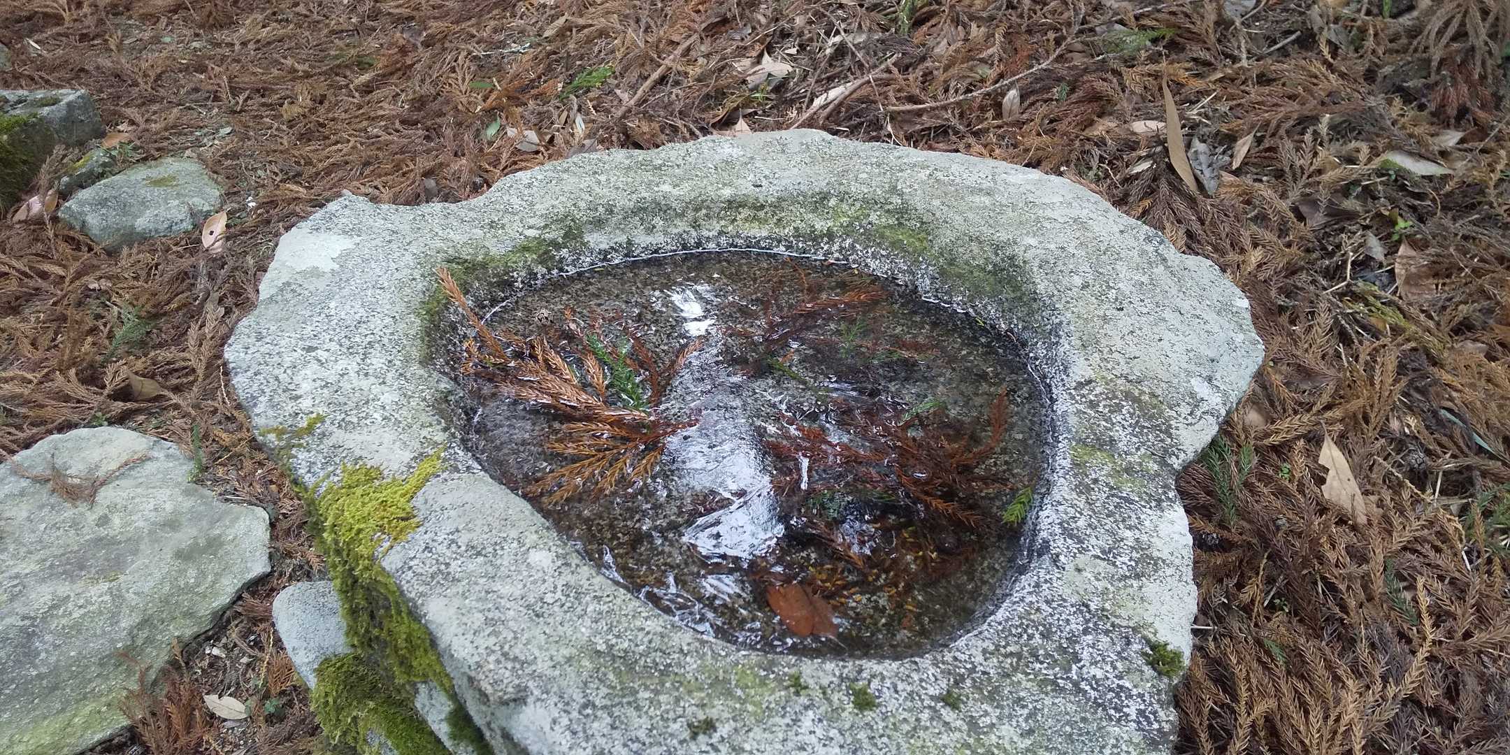 浮嶽山頂の水、強めに凍ってました🥶🥶唐津の町の方は8℃くらいあったのに。

帰ります…べ、別にわざわざ浮嶽に登りに来た訳じゃないんだからね👩‍💼そ、そうだわ、ちょうど帰り道なのよ👩‍💼たまたまここを通らないと家に帰れないの👩‍💼