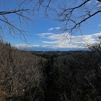 ココからのが良いかも?