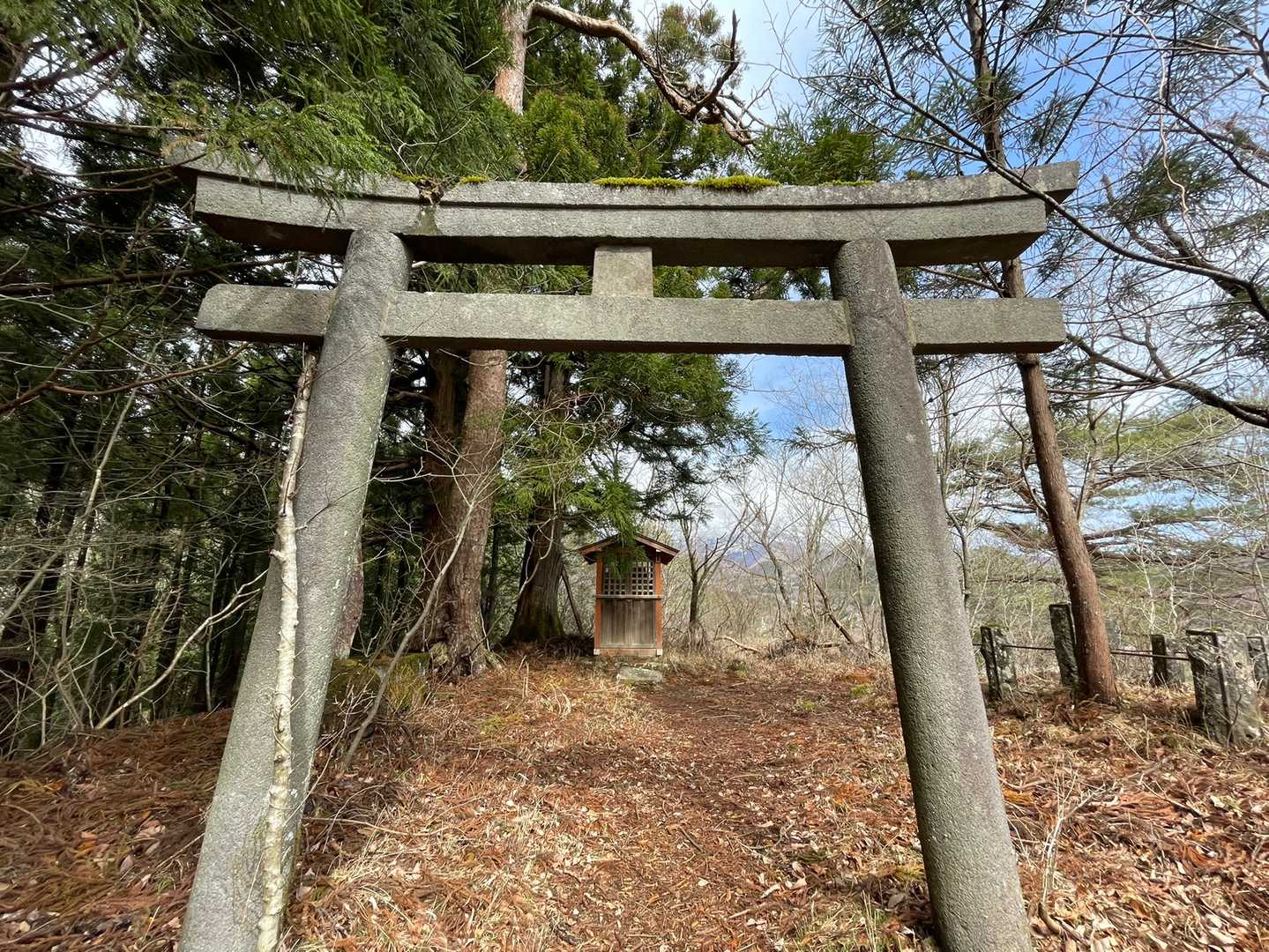 少し歩くと⛩が