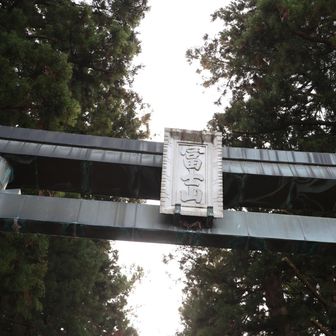 入口の鳥居⛩️