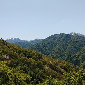 山頂のベンチから
後から登ってこられたご夫婦からデコポンを頂きました。
とても美味しかったです。
ごちそうさまでした。