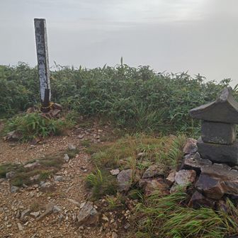 割引山の山頂
本当は井戸尾根コースではなく、
沢から割引山へ登る周囲コースを選びたかったんだ
しかし、ブラックスタートだと岩の目印が見えず、水際ということもあり危険と判断し、断念
ちなみに、沢のルートは下りが禁止