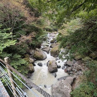 竜神橋から渓流を覗き込む
水は少し濁っている