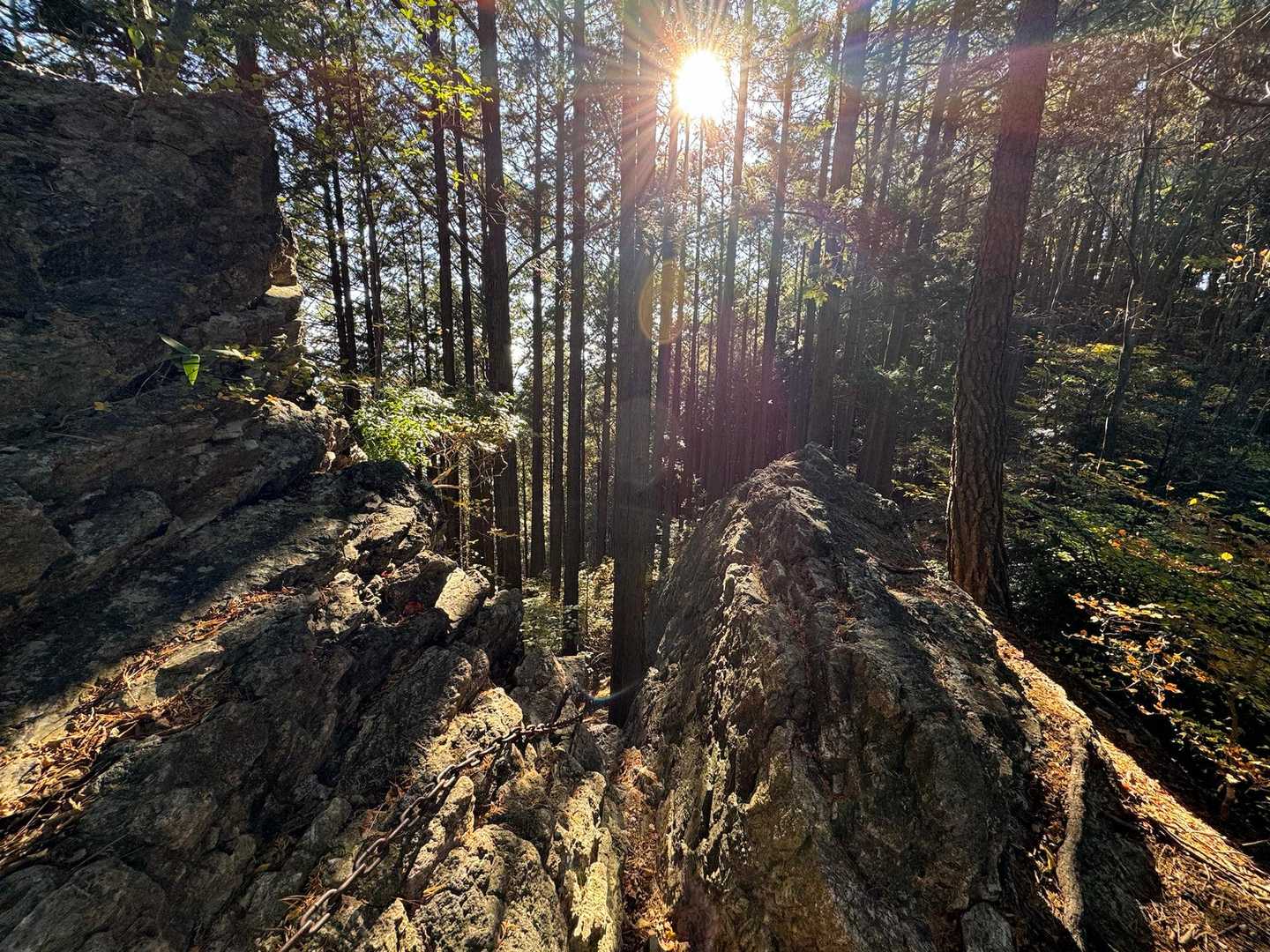 鎖場を上がった先に
　　振り返ると眩しい☀️
　　　　何ともステキな光景👏　