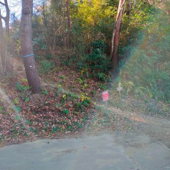 あきば峠（青木葉峠）。
道路の向こう側へ。