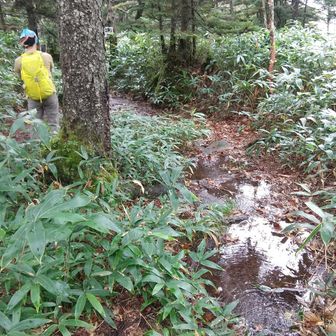 沢登りと沢下りの繰り返し