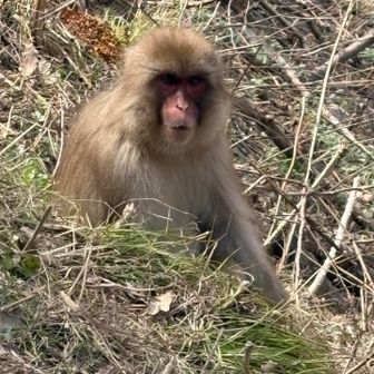 メッチャ初心者